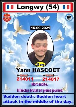 Dcd yann qrc