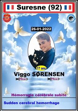 Dcd viggo qrc