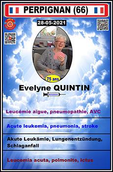 Dcd evelyne quintin