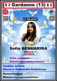 Dcd sofia qrc 1