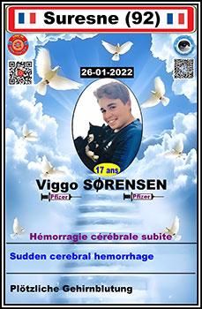 Dcd viggo qrc